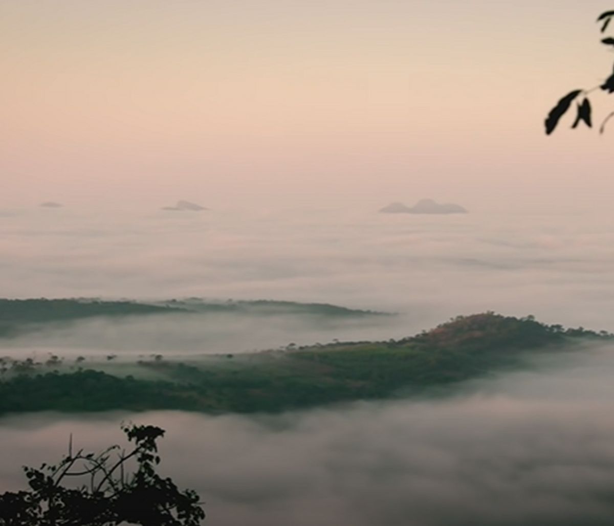 Το απάτητο δάσος που πήγε να εξερευνήσει το National Geographic (video)