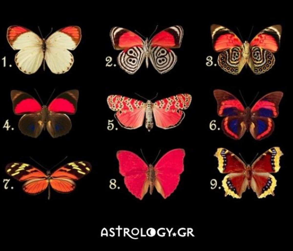 Διάλεξε 1 από τα 9 πεταλούδες και δες τι κρύβεται στην ψυχή σου!