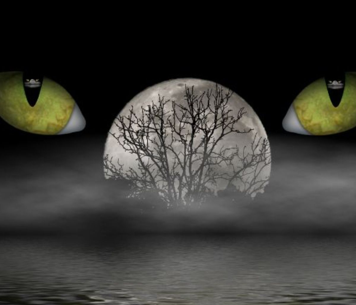 9 τρόποι με τους οποίους το ένστικτο μας προειδοποιεί!