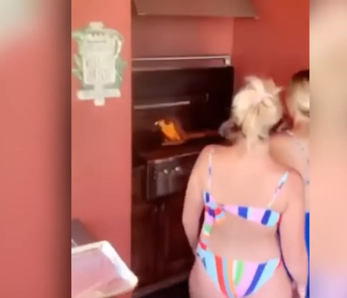 Γυναίκες έβαλαν φωτιά σε μπάρμπεκιου και αντί να τη σβήσουν, τραβούσαν βίντεο