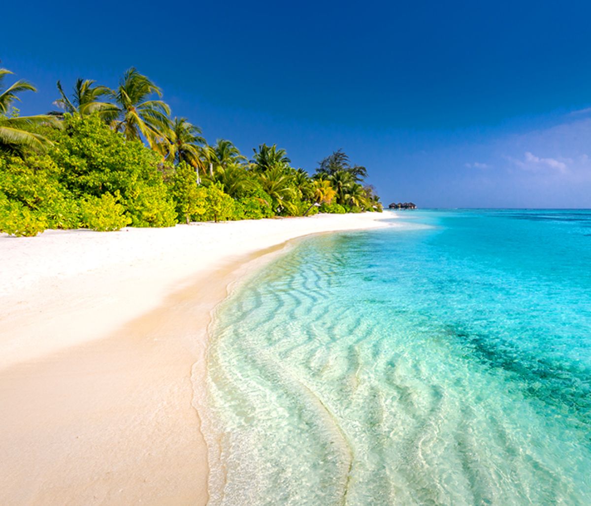 Διάβασε ΔΩΡΕΑΝ την προσωπική σου πρόβλεψη, για σήμερα 11/07/2020