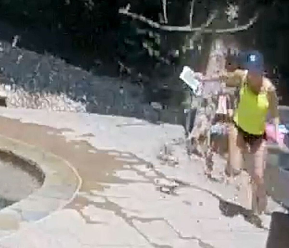 Γιος φώναξε στη μητέρα του γιατί έπεφτε δέντρο πάνω της (video)