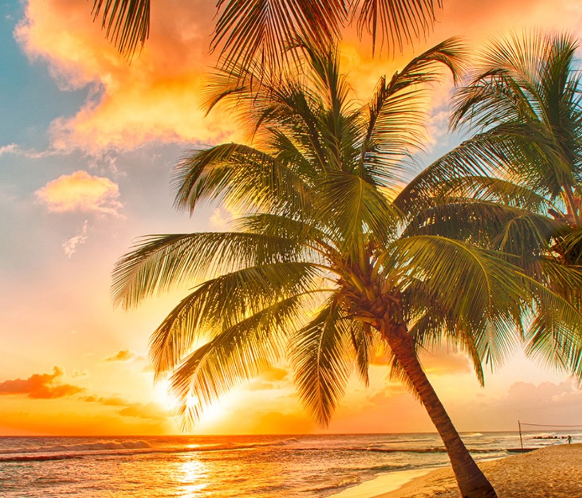 Τι λένε τα άστρα για τον Αύγουστο 2020;