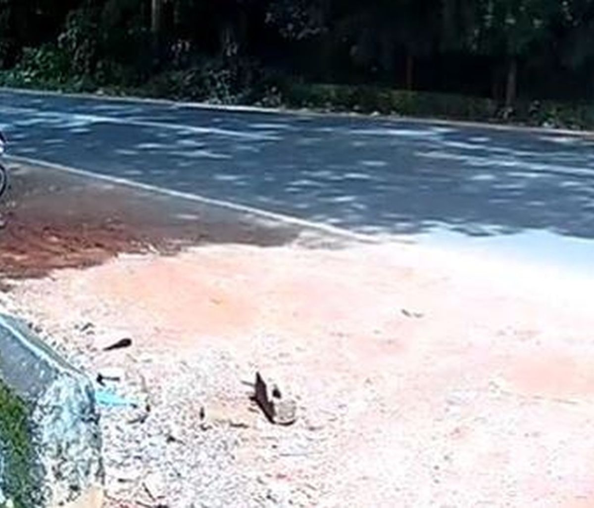 Συγκλονιστικό βίντεο: Μοτοσικλετιστής σώθηκε από θαύμα