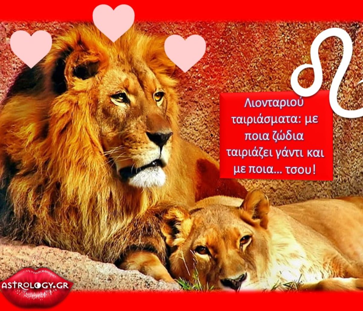 Με ποιους ταιριάζει το Λιοντάρι και σε ποιους λέει bye bye;