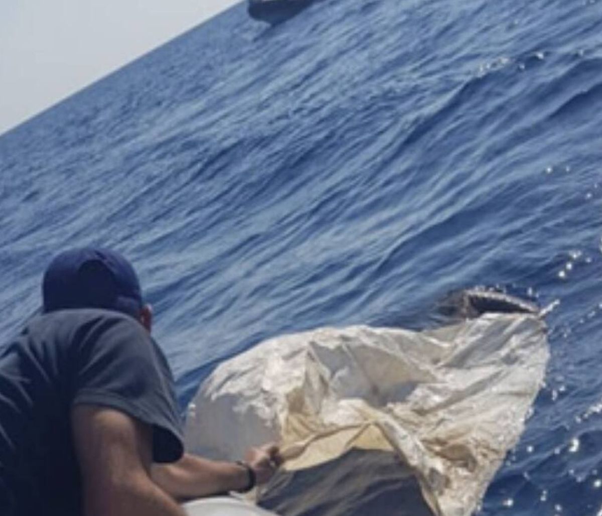 Κρήτη: Έσωσαν τραυματισμένο όρνεο από τη θάλασσα (photos)