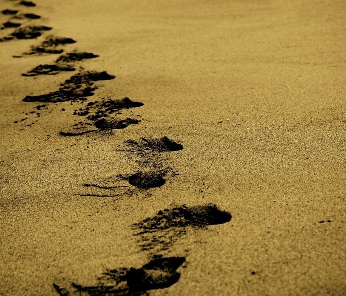 Πάτρα: Τρόμος σε παραλία - Τι ξέβρασε η θάλασσα