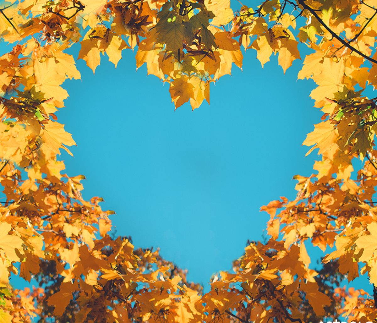 Εβδομαδιαίες Ερωτικές Προβλέψεις 31/08-06/09: Νίκες, ήττες και ισοπαλίες