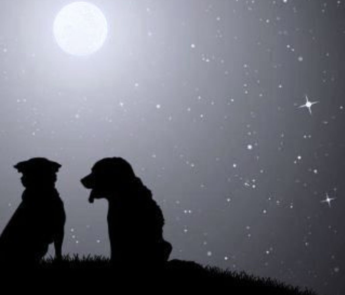 Τα 4 ζώδια που παθαίνουν... μετάλλαξη, όταν ερωτεύονται!