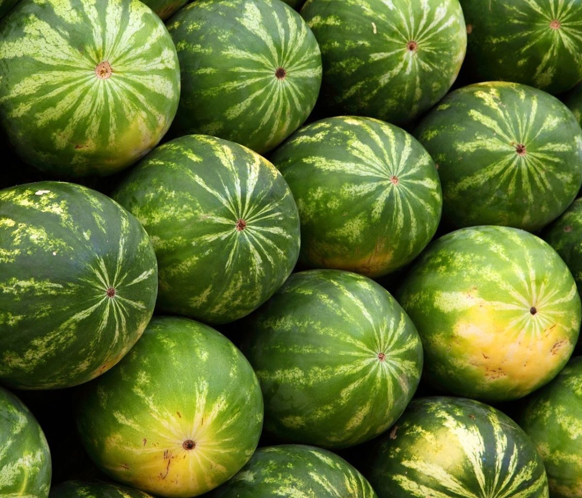 Απίστευτο: Πουλούσε καρπούζια σε Λαμποργκίνι (video)