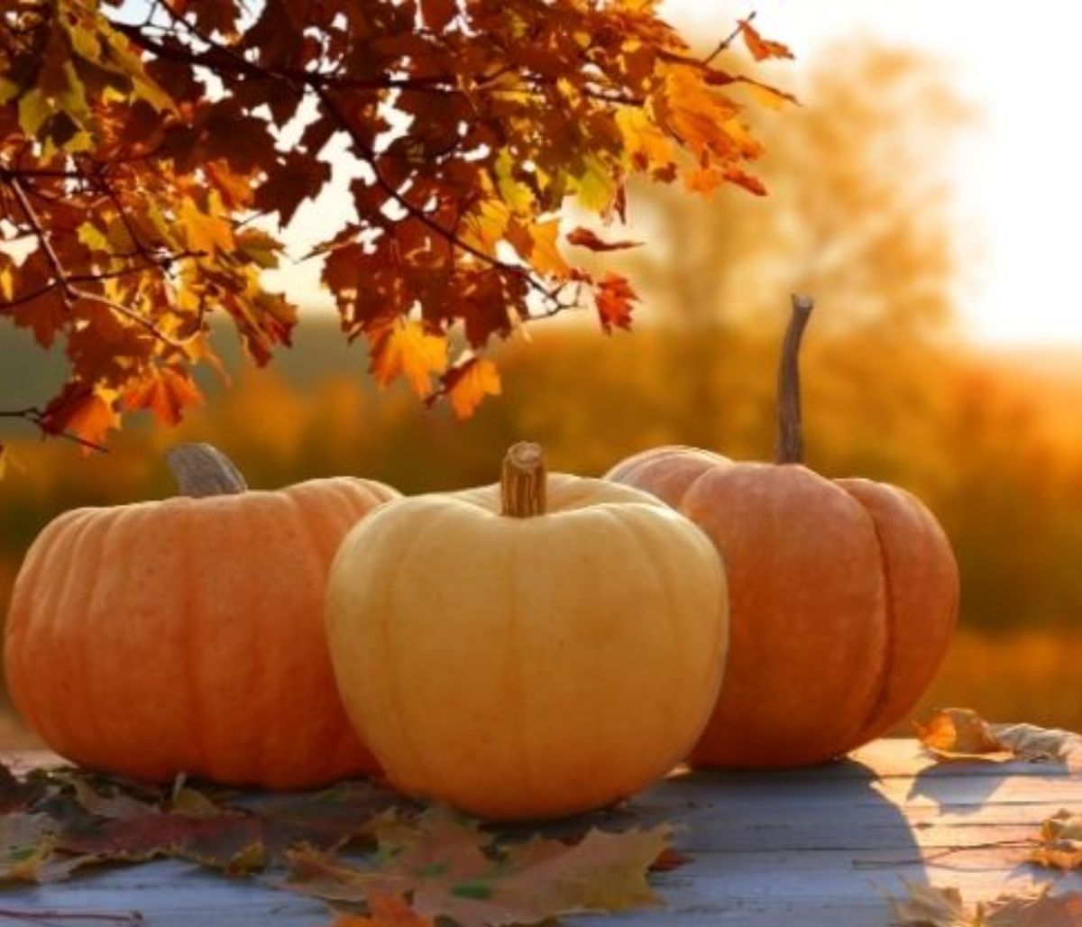 Σήμερα 22/09: Κι επίσημα Φθινόπωρο