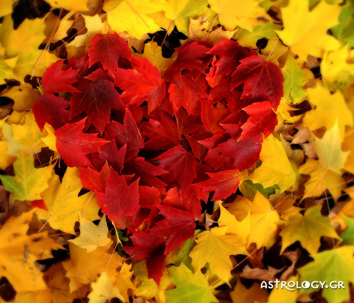 Προβλέψεις για τα αισθηματικά του ζωδίου σου, σήμερα 13/09