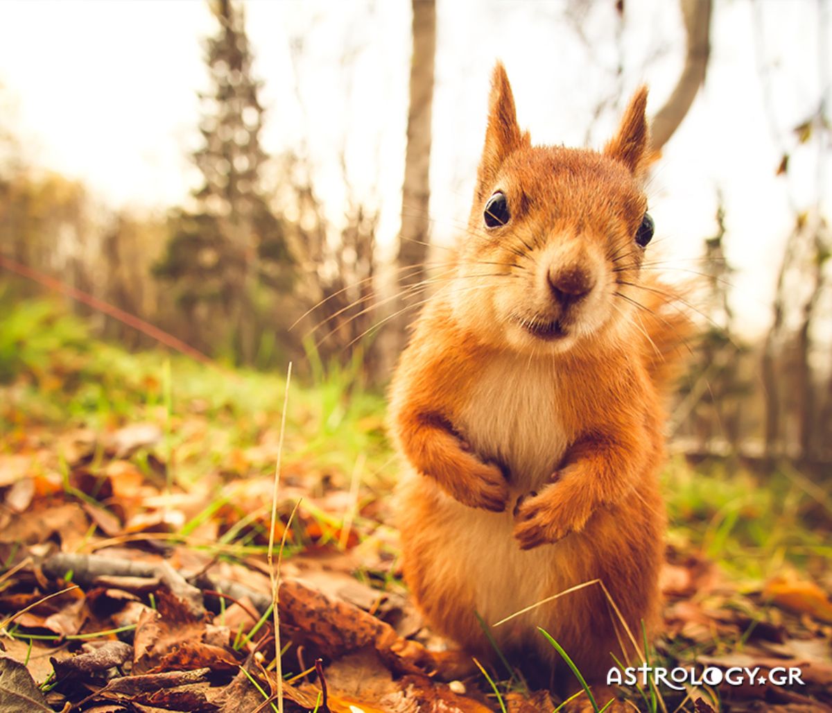 Διάβασε ΔΩΡΕΑΝ την προσωπική σου πρόβλεψη, για σήμερα 14/09/2020