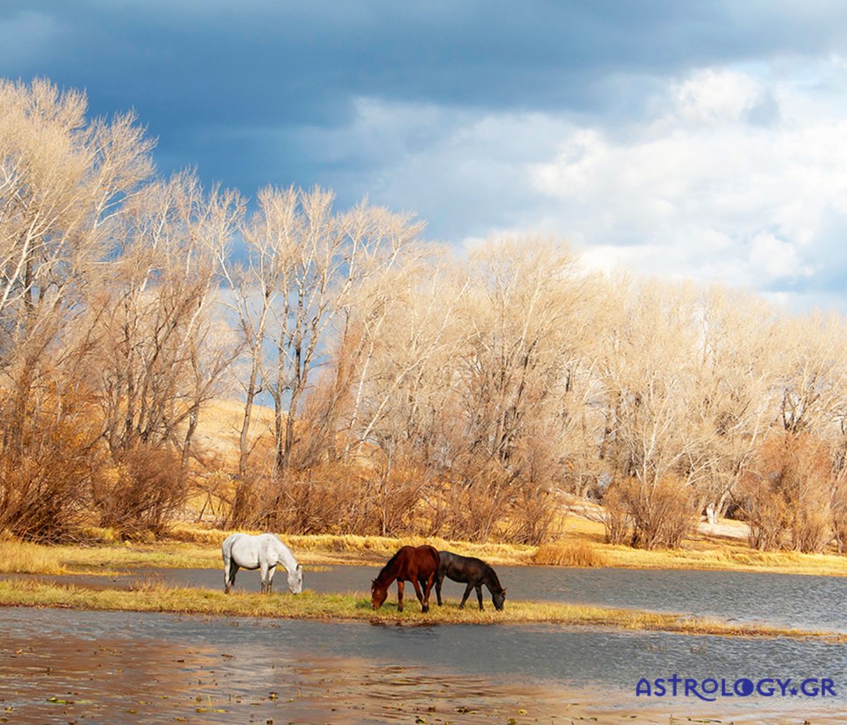 Διάβασε ΔΩΡΕΑΝ την προσωπική σου πρόβλεψη, για σήμερα 22/09/2020