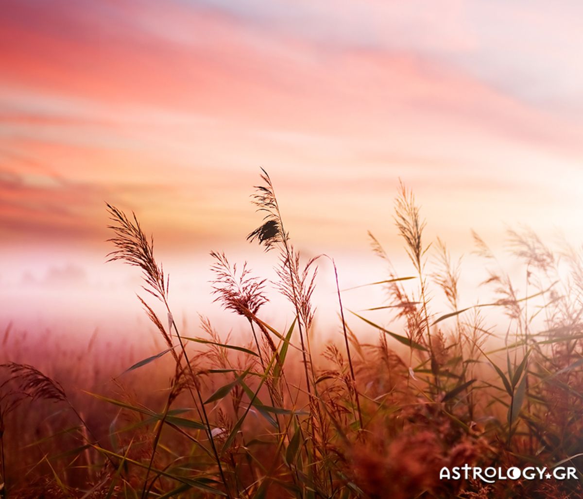 Διάβασε ΔΩΡΕΑΝ την προσωπική σου πρόβλεψη, για σήμερα 25/09/2020