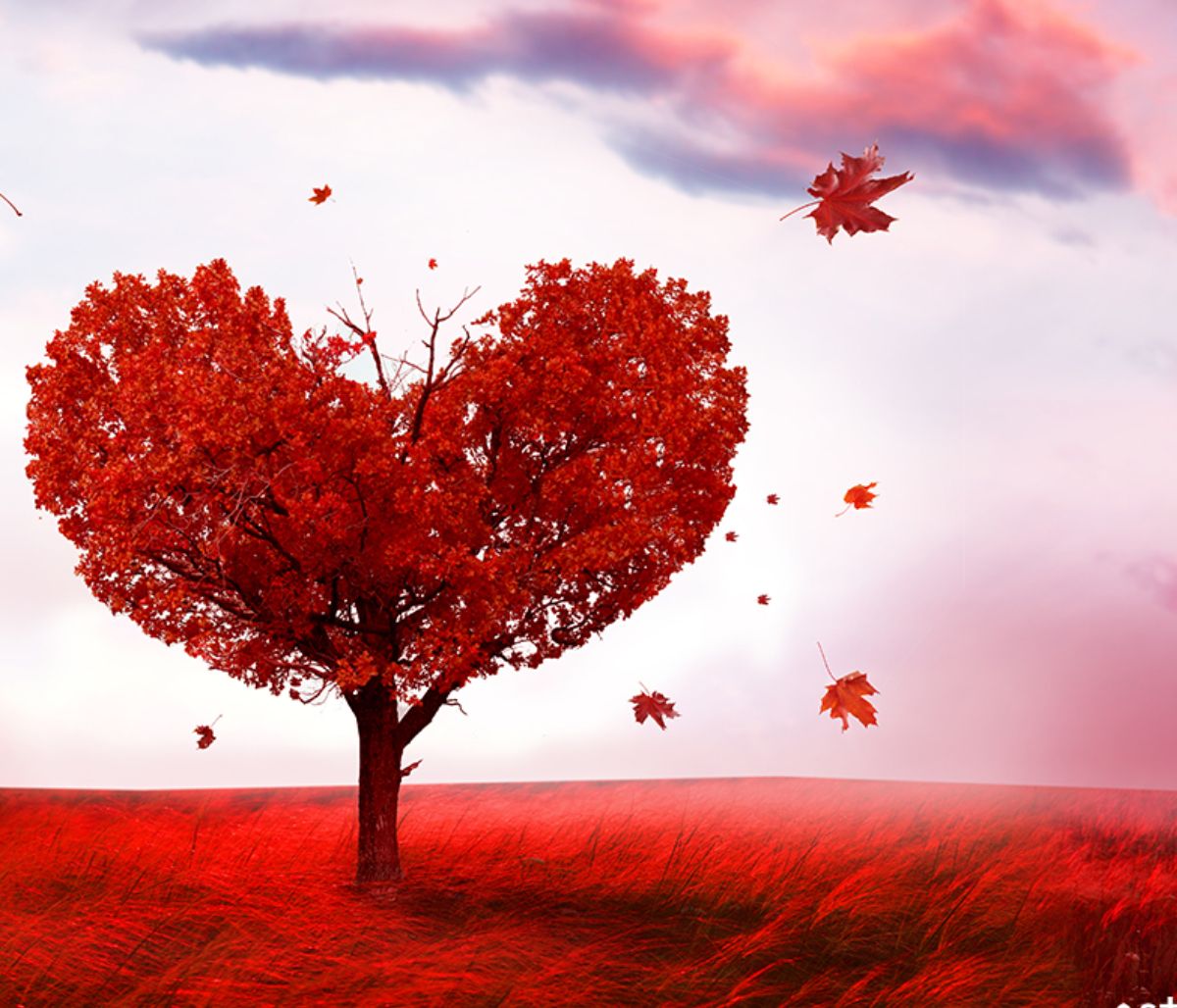 Εβδομαδιαίες Ερωτικές Προβλέψεις 21/09-27/09: Καταιγίδες και λιακάδες!