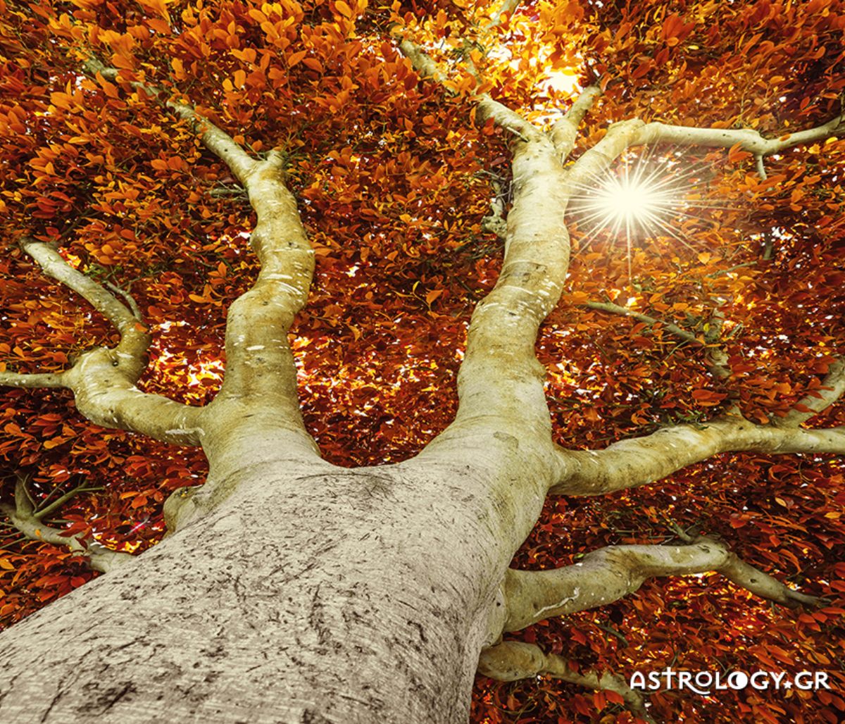 Ημερήσιες Προβλέψεις για όλα τα Ζώδια 22/09