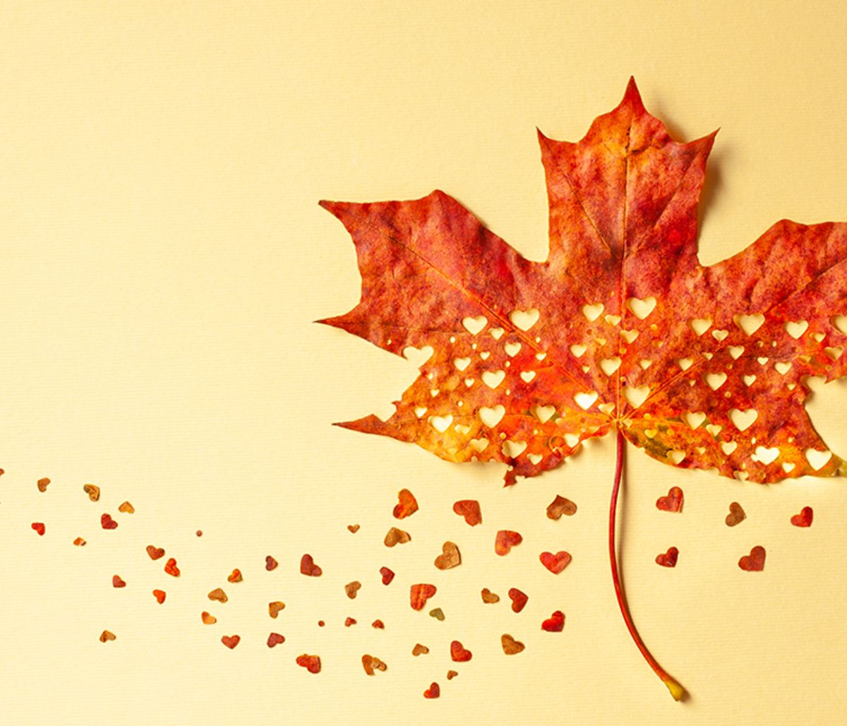 Προβλέψεις για τα αισθηματικά του ζωδίου σου, σήμερα 23/09