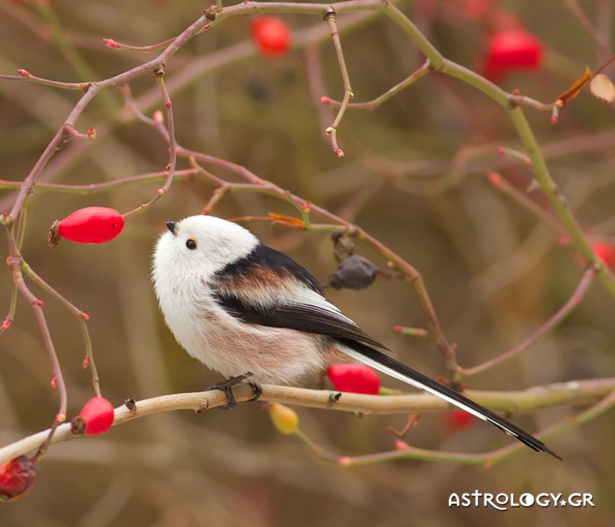 Διάβασε ΔΩΡΕΑΝ την προσωπική σου πρόβλεψη, για σήμερα 29/09/2020