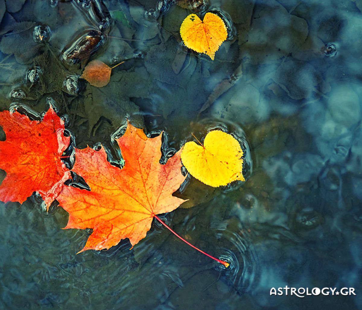 Ημερήσιες Προβλέψεις για όλα τα Ζώδια 06/10