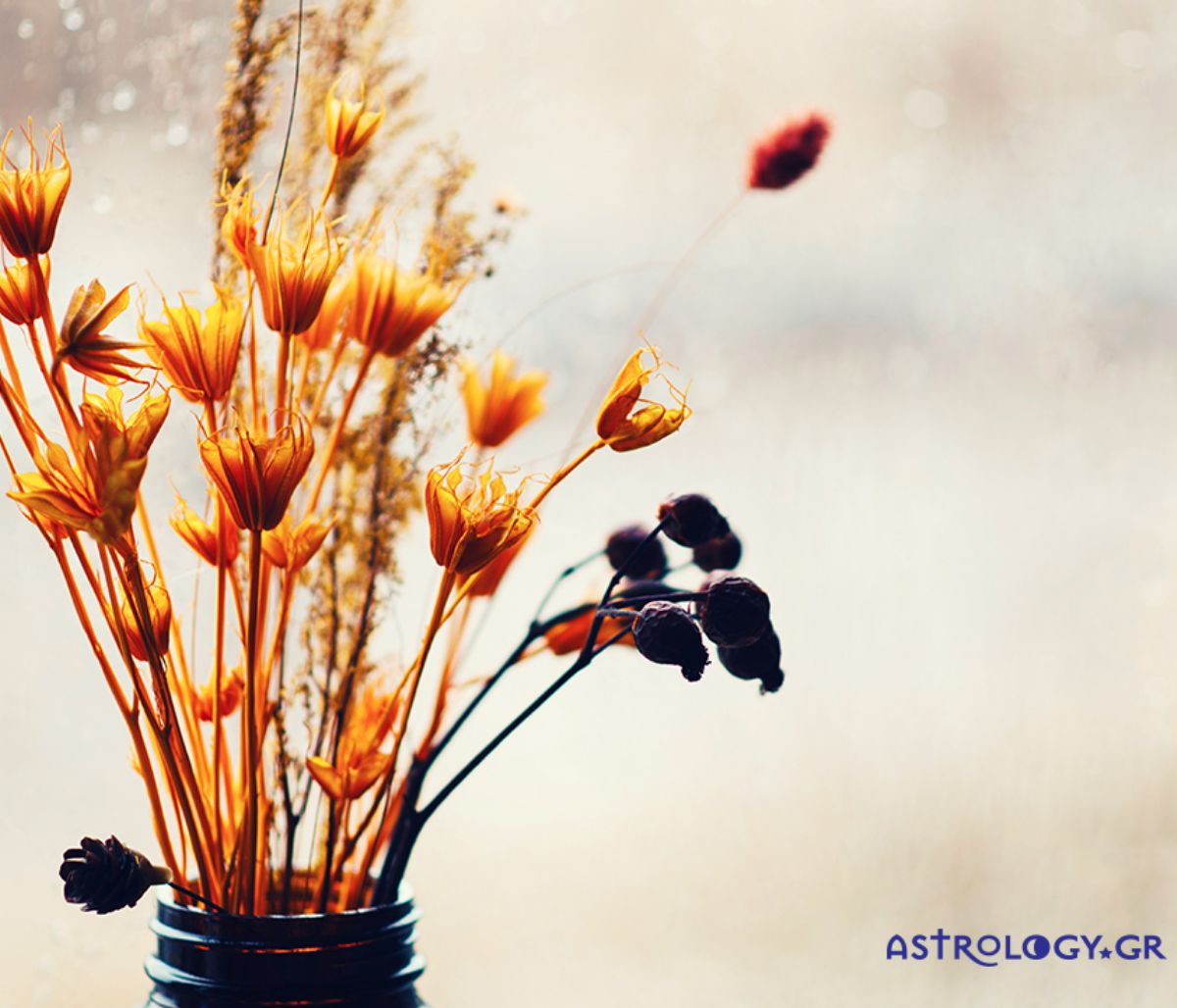 Ημερήσιες Προβλέψεις για όλα τα Ζώδια 08/10