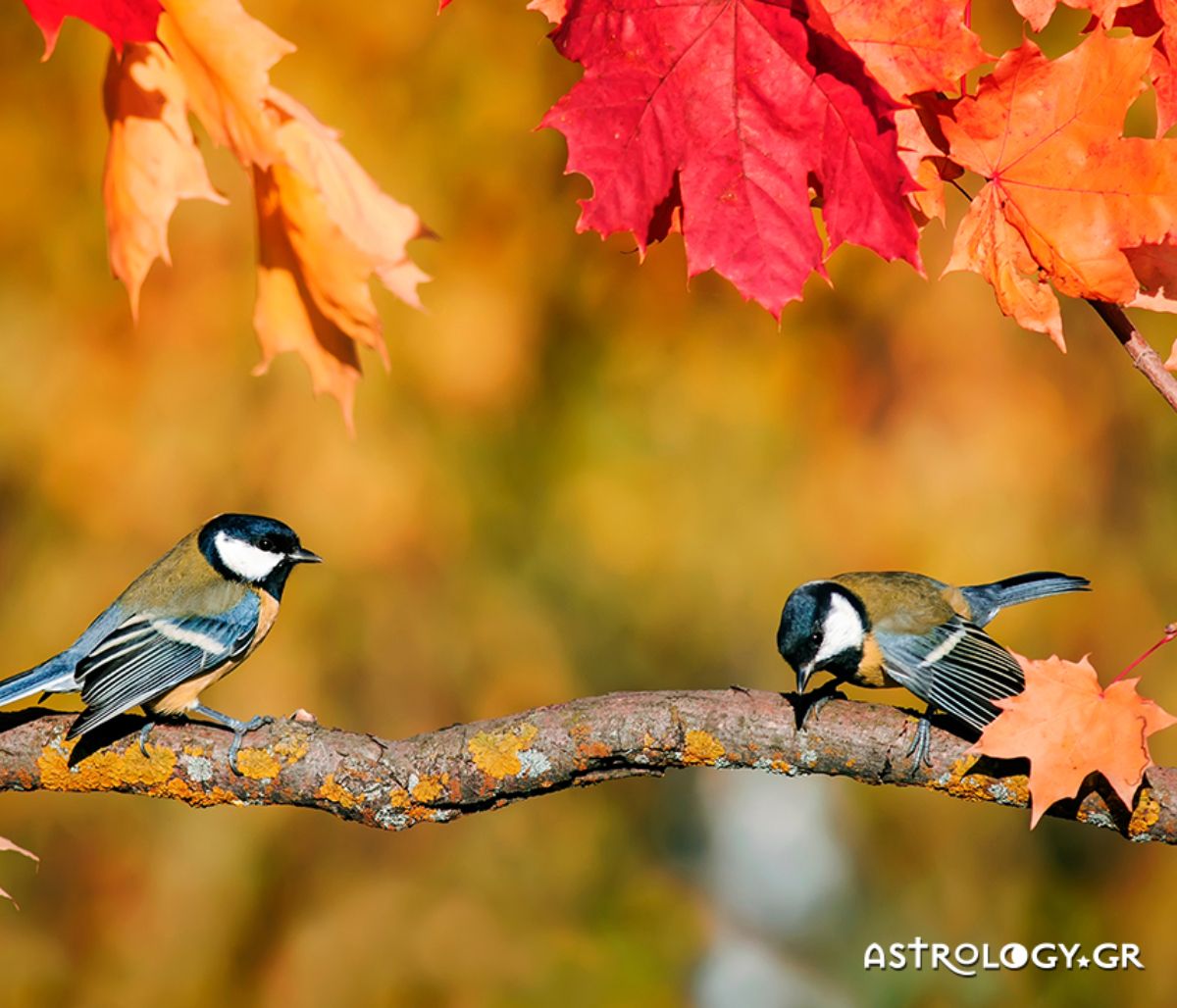 Διάβασε ΔΩΡΕΑΝ την προσωπική σου πρόβλεψη, για σήμερα 08/10/2020
