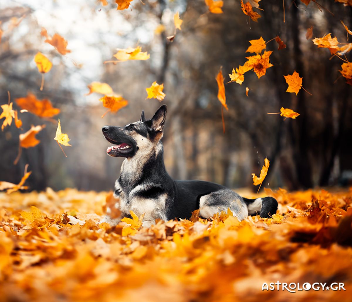 Διάβασε ΔΩΡΕΑΝ την προσωπική σου πρόβλεψη, για σήμερα 13/10/2020