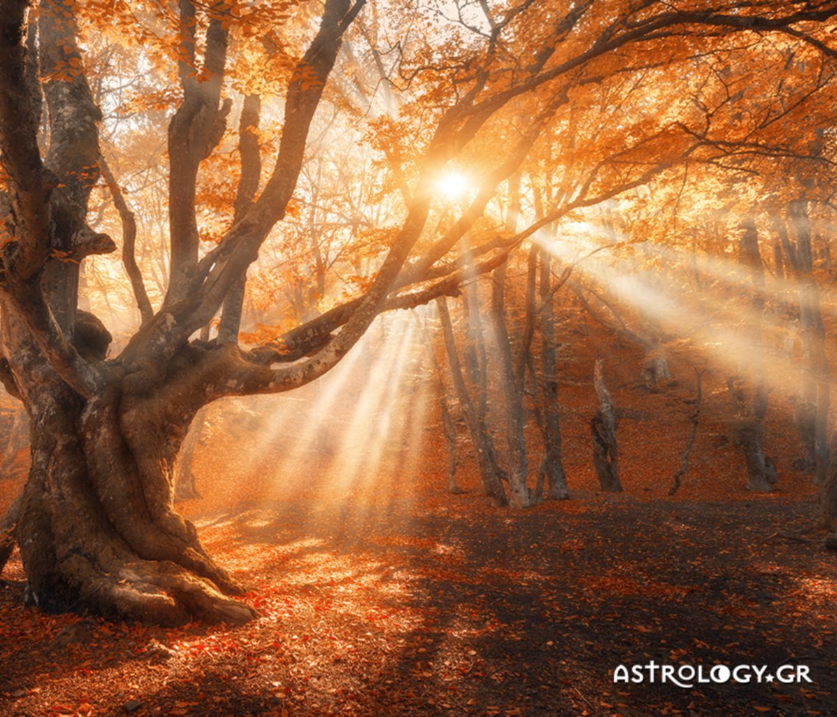 Ημερήσιες Προβλέψεις για όλα τα Ζώδια 16/10