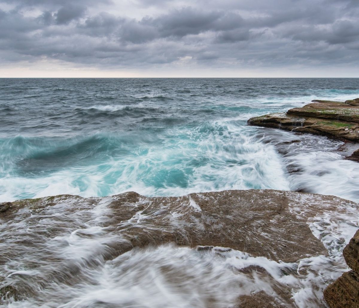 Ψαράς έπιασε σπάνιο δικέφαλο καρχαρία! (video)