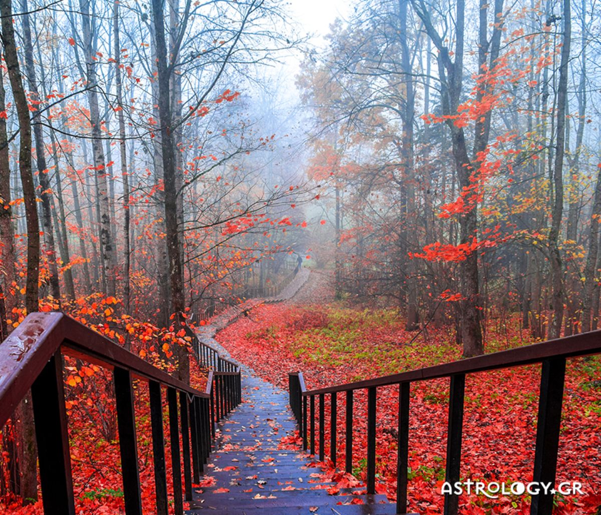 Διάβασε ΔΩΡΕΑΝ την προσωπική σου πρόβλεψη, για σήμερα 30/10/2020