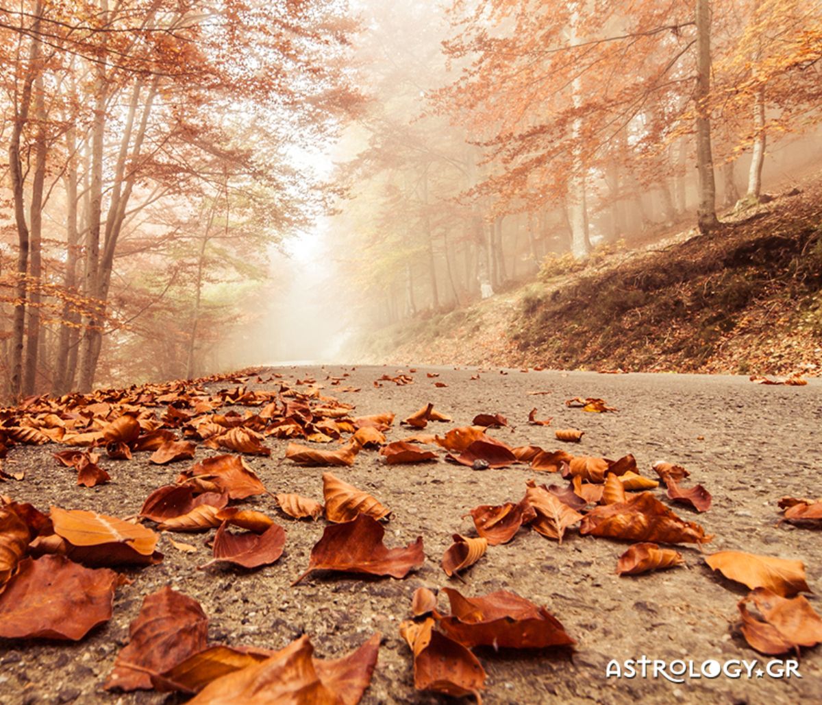 Διάβασε ΔΩΡΕΑΝ την προσωπική σου πρόβλεψη, για σήμερα 01/11/2020