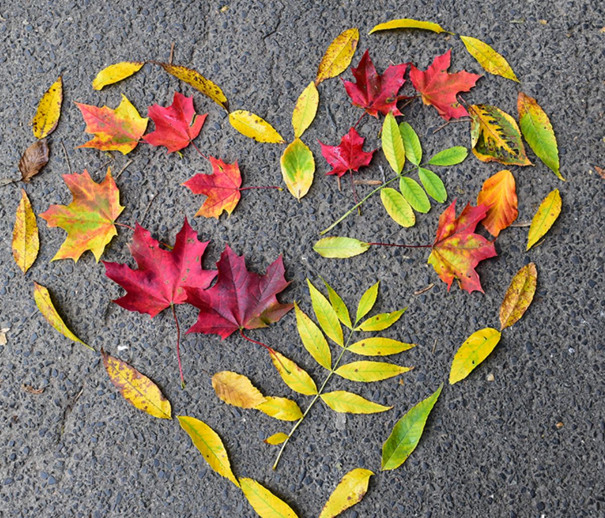 Προβλέψεις για τα αισθηματικά του ζωδίου σου, σήμερα 03/11