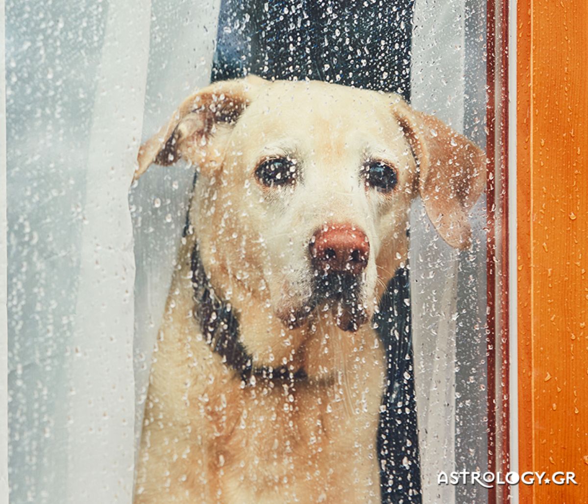 Διάβασε ΔΩΡΕΑΝ την προσωπική σου πρόβλεψη, για σήμερα 10/11/2020
