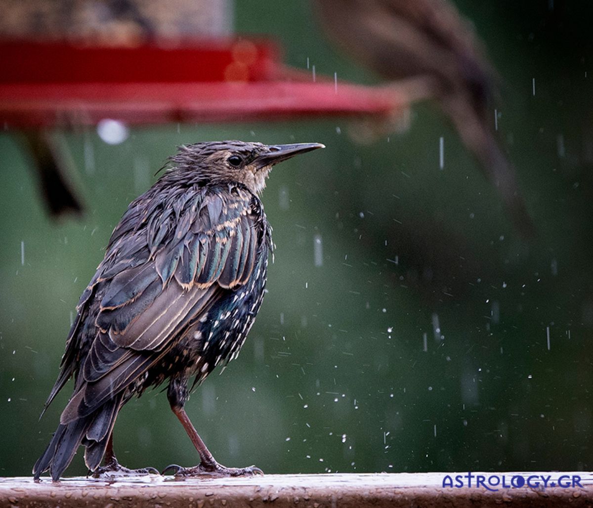 Διάβασε ΔΩΡΕΑΝ την προσωπική σου πρόβλεψη, για σήμερα 14/11/2020