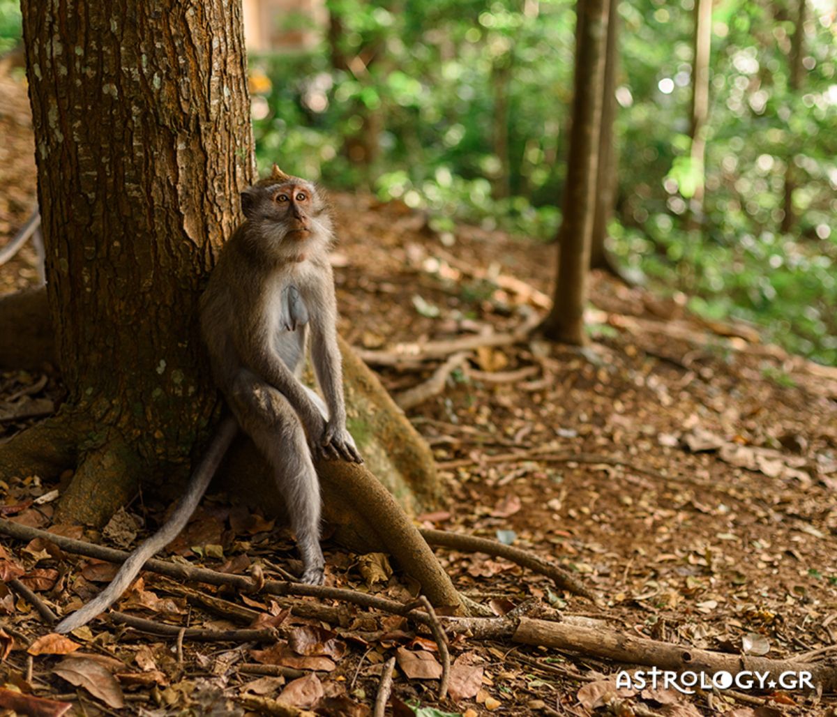 Διάβασε ΔΩΡΕΑΝ την προσωπική σου πρόβλεψη, για σήμερα 22/11/2020