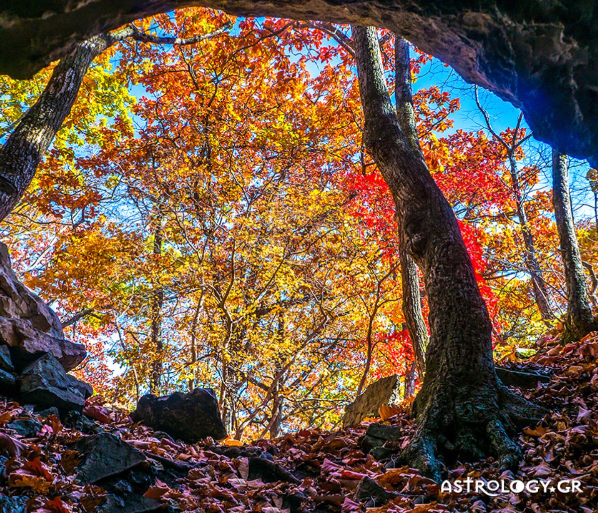 Διάβασε ΔΩΡΕΑΝ την προσωπική σου πρόβλεψη, για σήμερα 24/11/2020