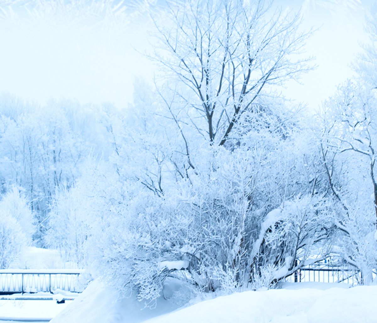 Τι λένε τα άστρα για τον Δεκέμβριο του 2020;
