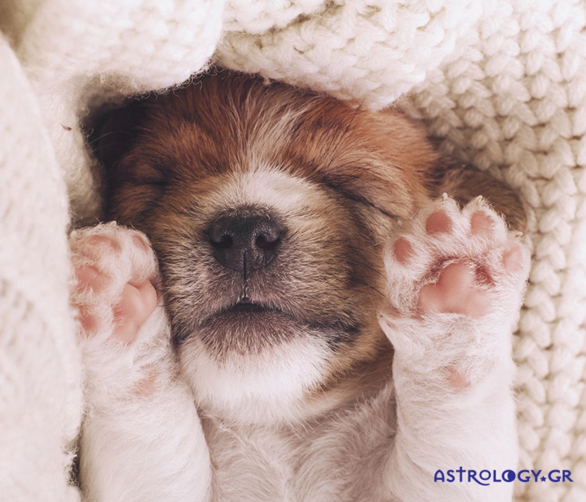 Διάβασε ΔΩΡΕΑΝ την προσωπική σου πρόβλεψη, για σήμερα 02/12/2020