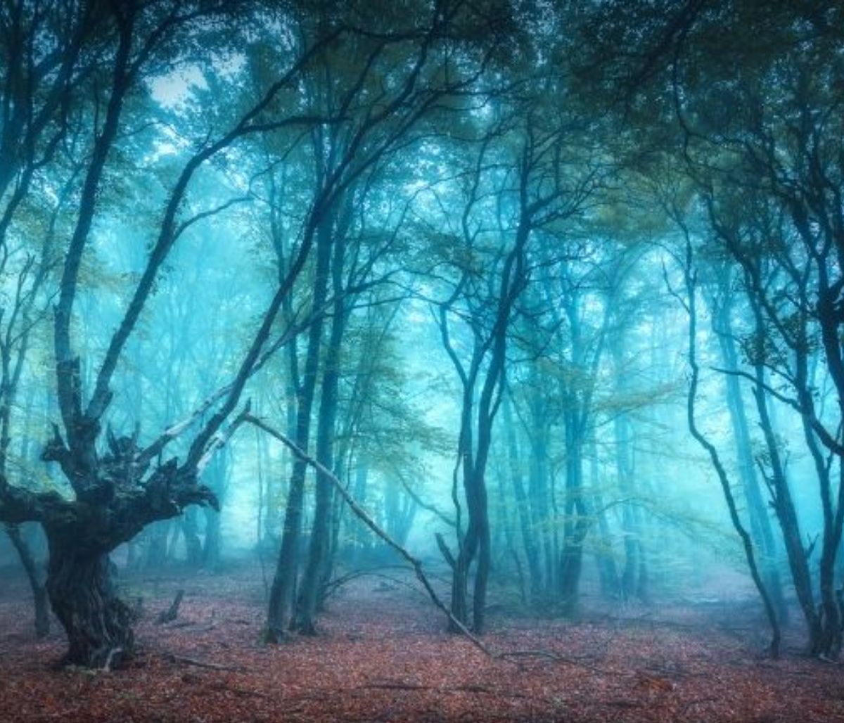 Σήμερα 09/12: Τοπίο στην ομίχλη