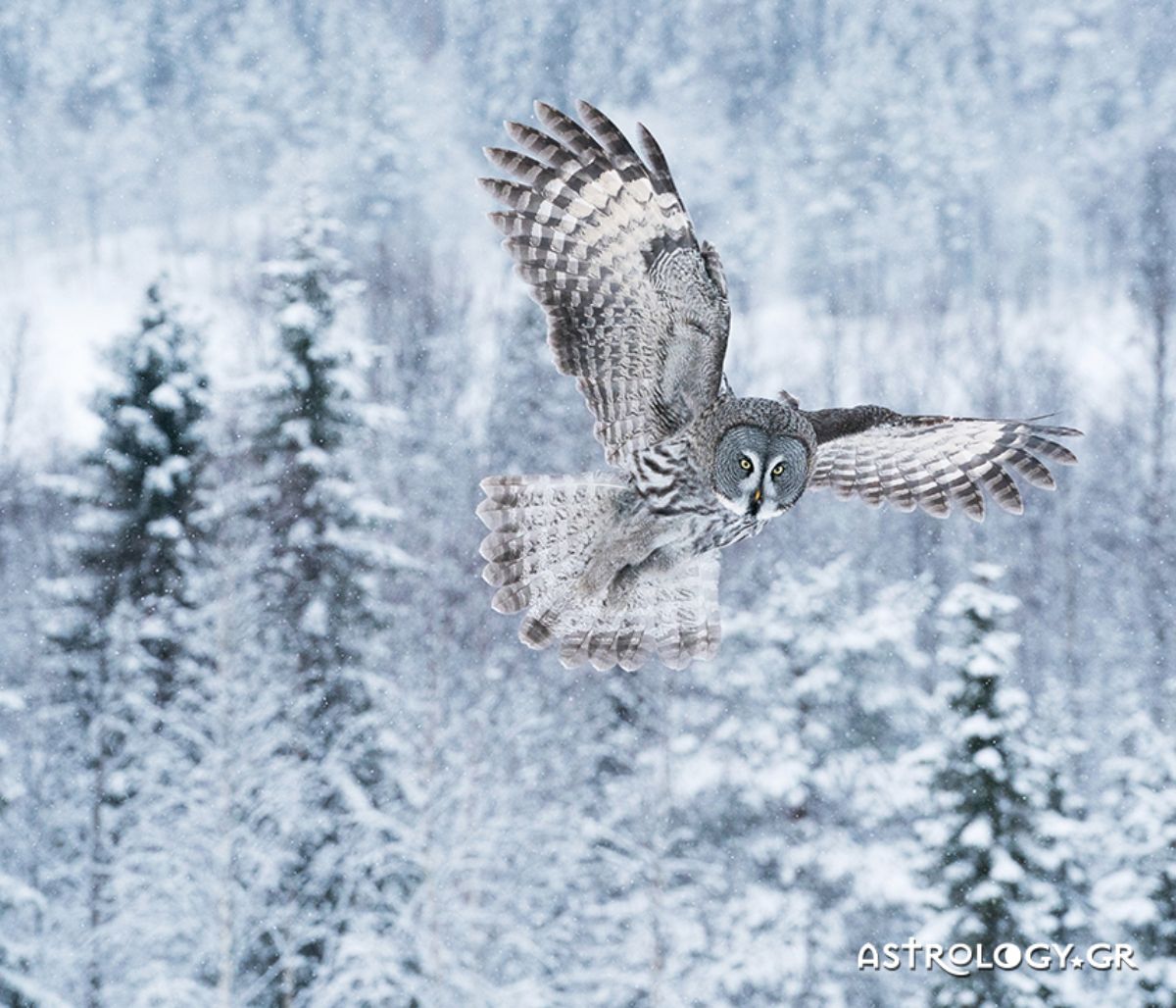 Διάβασε ΔΩΡΕΑΝ την προσωπική σου πρόβλεψη, για σήμερα 14/12/2020