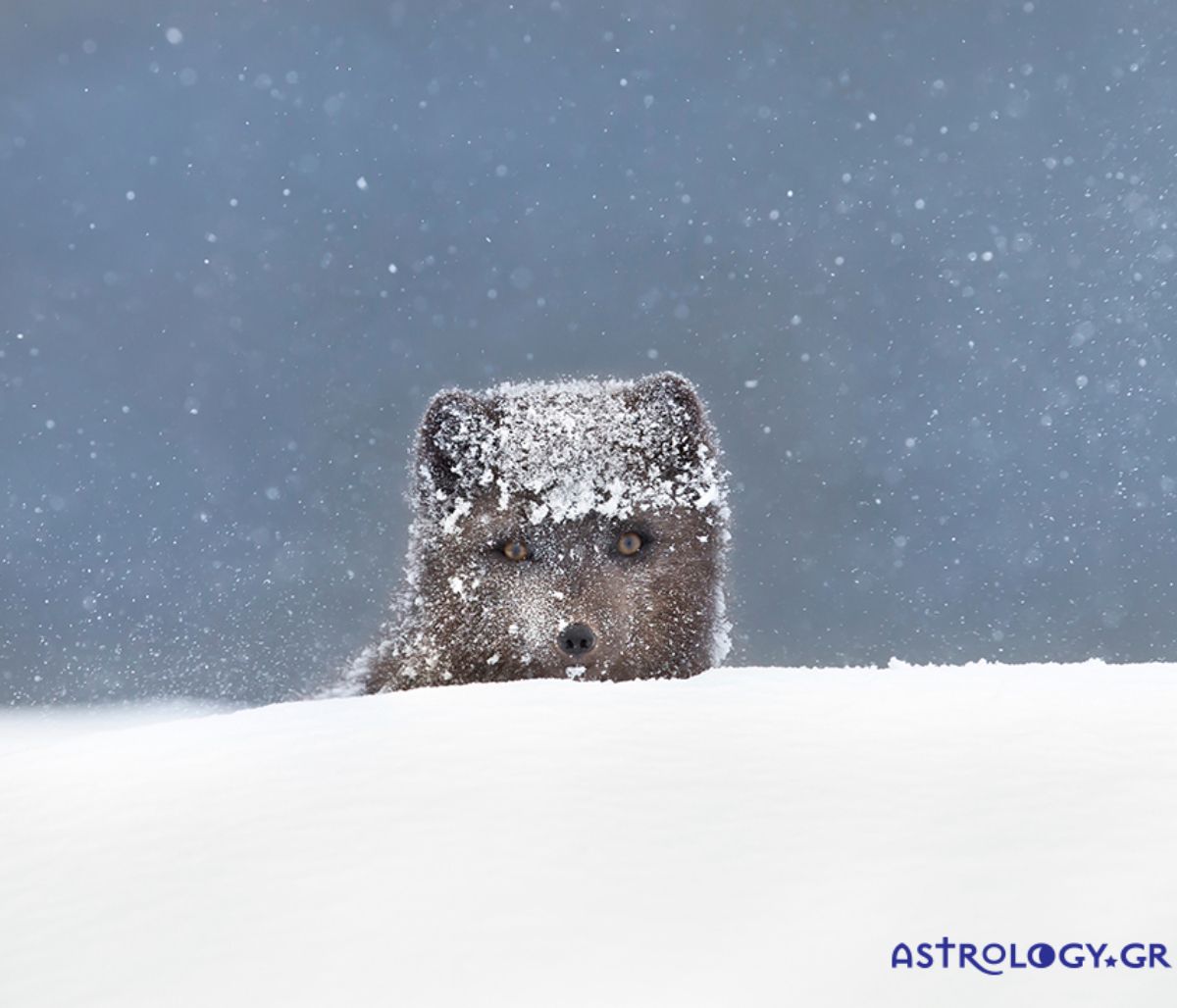 Διάβασε ΔΩΡΕΑΝ την προσωπική σου πρόβλεψη, για σήμερα 16/12/2020