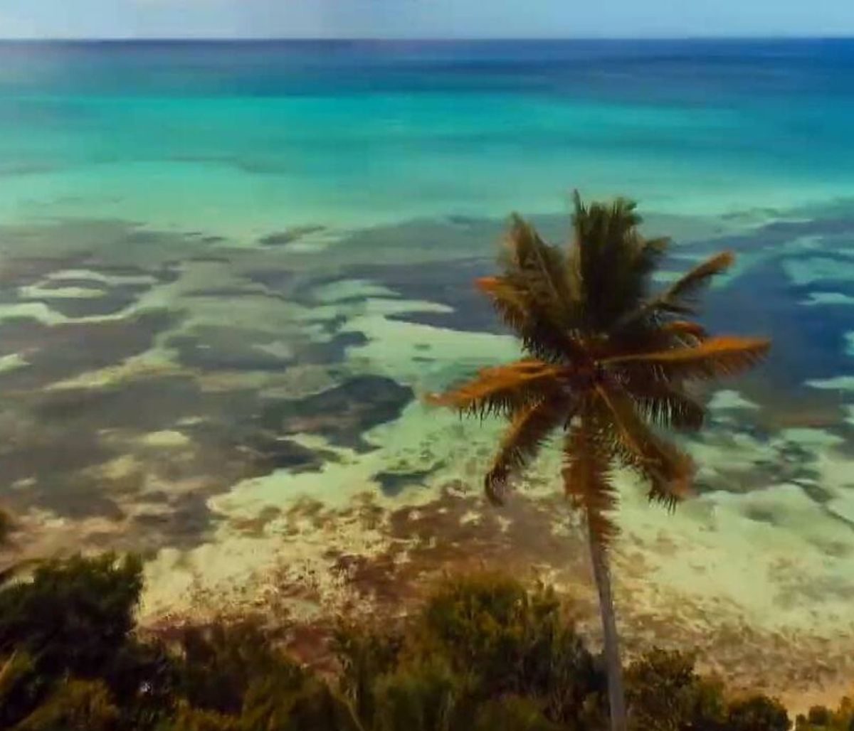 Survivor 4: Διάσημοι vs Μαχητές - Γνωρίστε τους παίκτες! (pics)