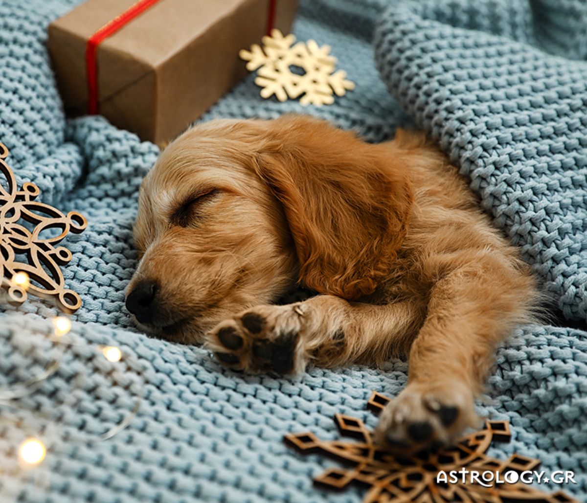 Διάβασε ΔΩΡΕΑΝ την προσωπική σου πρόβλεψη, για σήμερα 28/12/2020