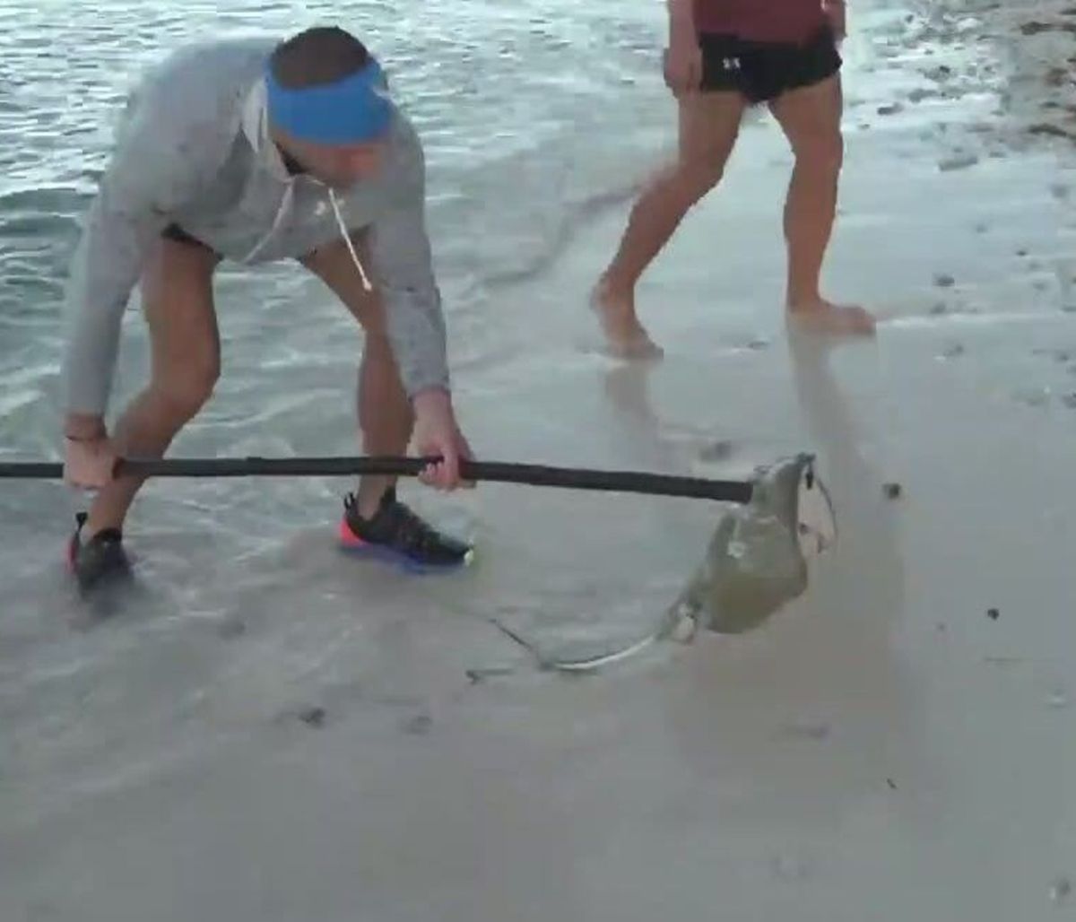 Ψάρεμα στο Survivor: Οι Μαχητές δεν θα πεινάσουν ποτέ! Σαλάχι με το καλημέρα... (vid)