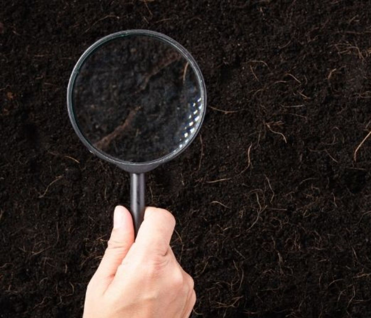 Σήμερα 04/01: Ερεύνησε εξονυχιστικά τα πάντα