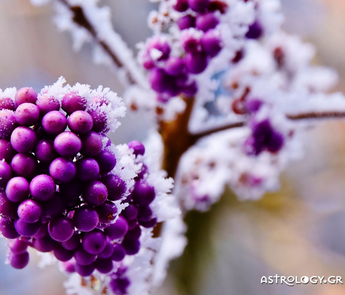 Διάβασε ΔΩΡΕΑΝ την προσωπική σου πρόβλεψη, για σήμερα 05/01/2021