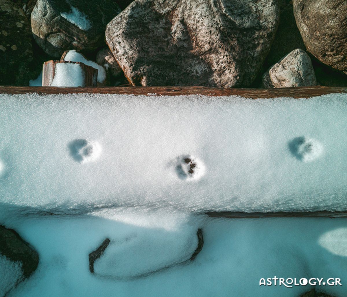Διάβασε ΔΩΡΕΑΝ την προσωπική σου πρόβλεψη, για σήμερα 07/01/2021