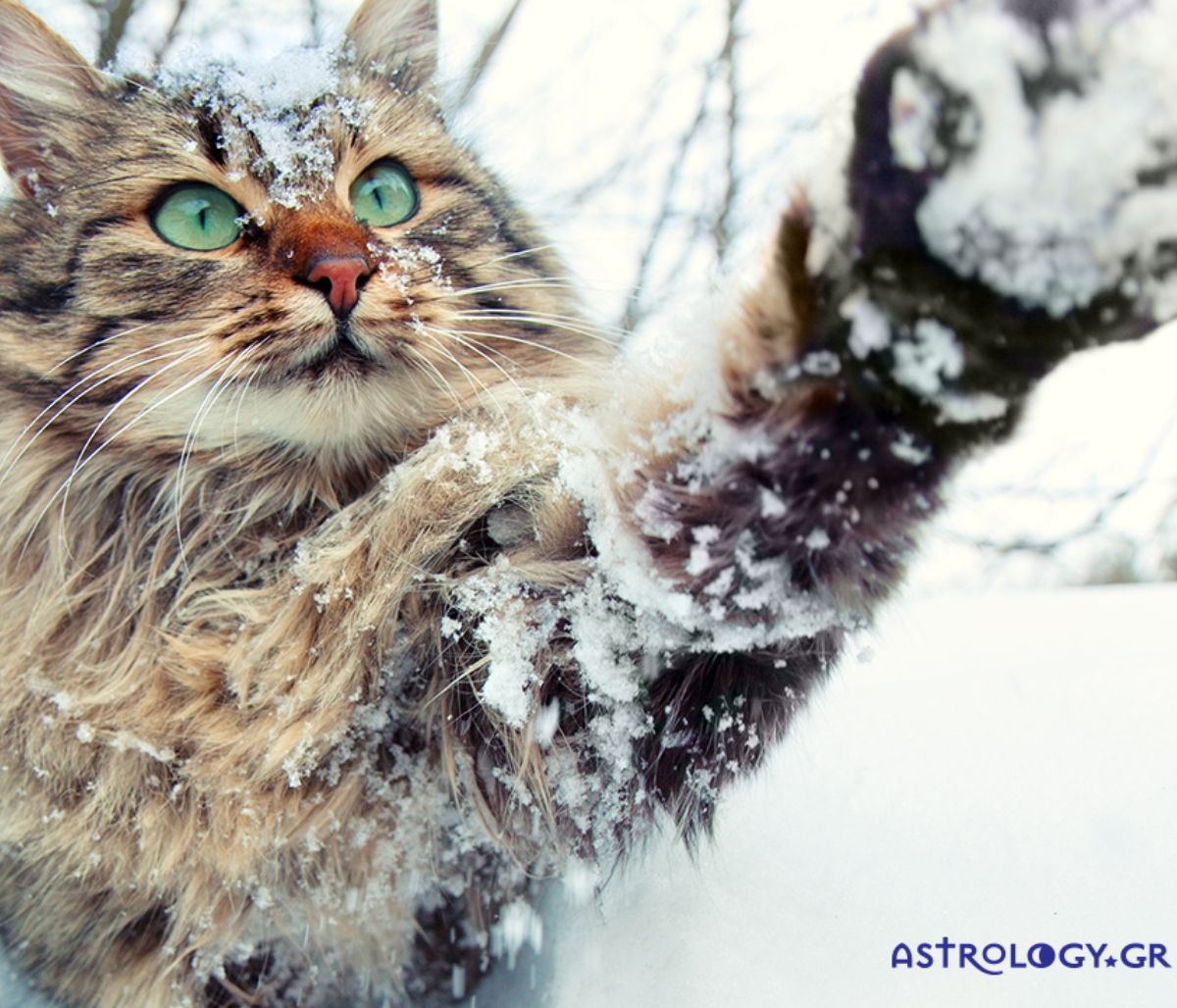 Διάβασε ΔΩΡΕΑΝ την προσωπική σου πρόβλεψη, για σήμερα 11/01/2021