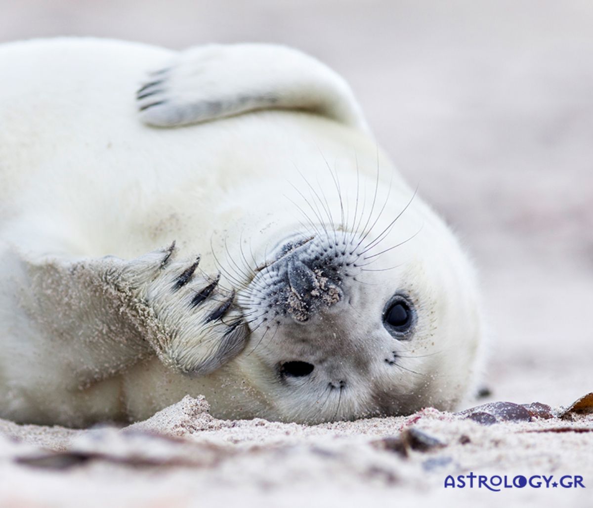 Διάβασε ΔΩΡΕΑΝ την προσωπική σου πρόβλεψη, για σήμερα 13/01/2021