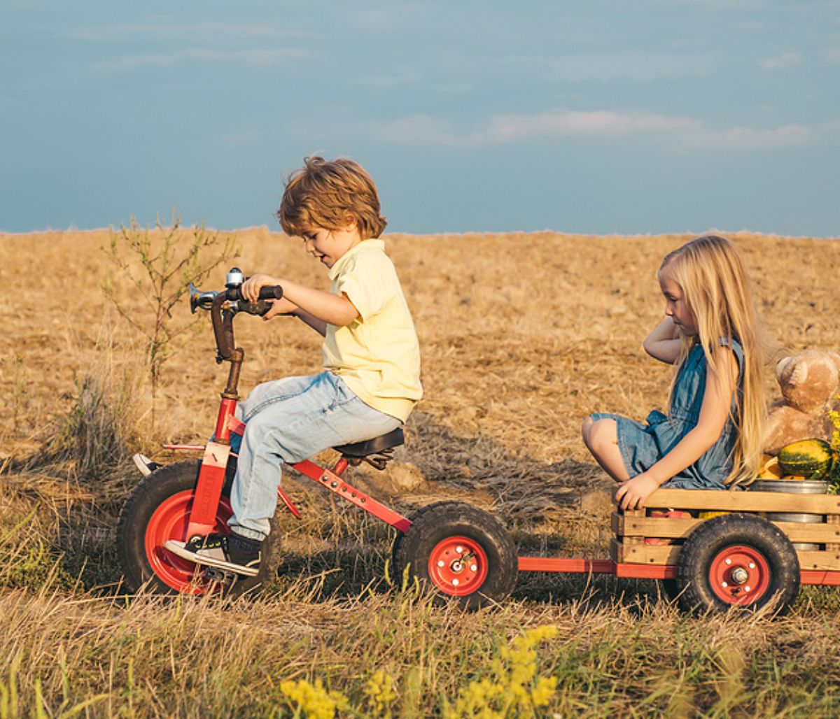 Παιδική επιθετικότητα μετά τη βρεφική ηλικία.